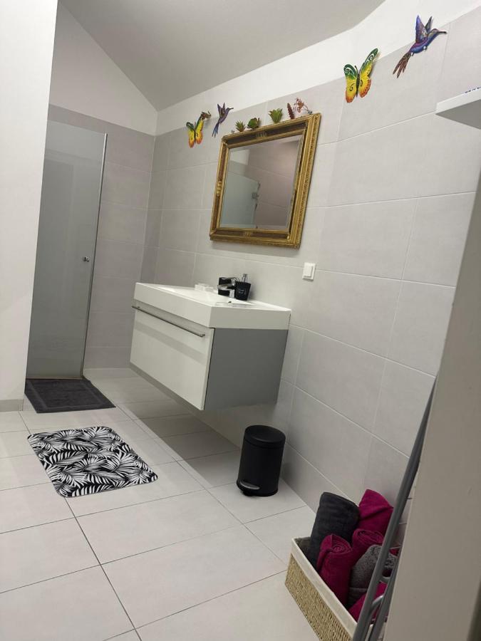 Klimatisiertes Dachgeschoss In Zentrum Wiens Apartment