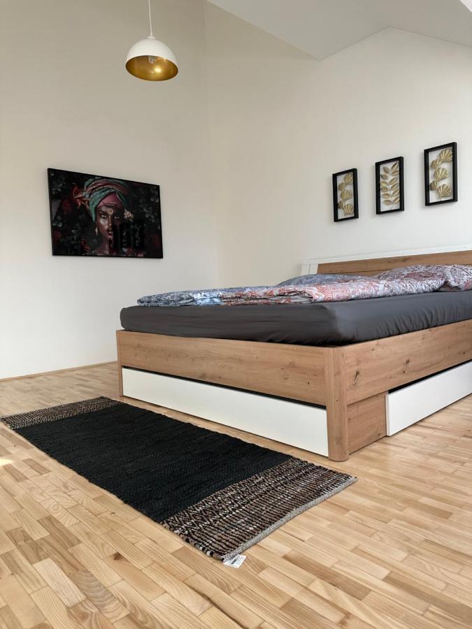 Klimatisiertes Dachgeschoss In Zentrum Wiens Apartment *